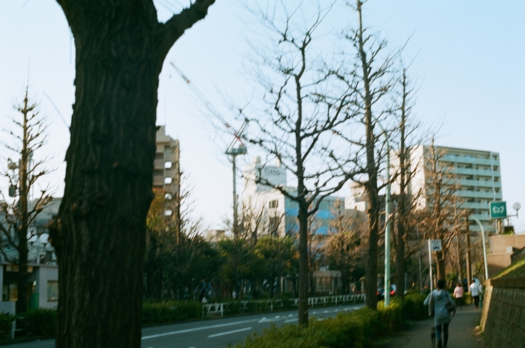 f:id:pfont:20180304195042j:plain f:id:pfont:20180304195042j:plain
