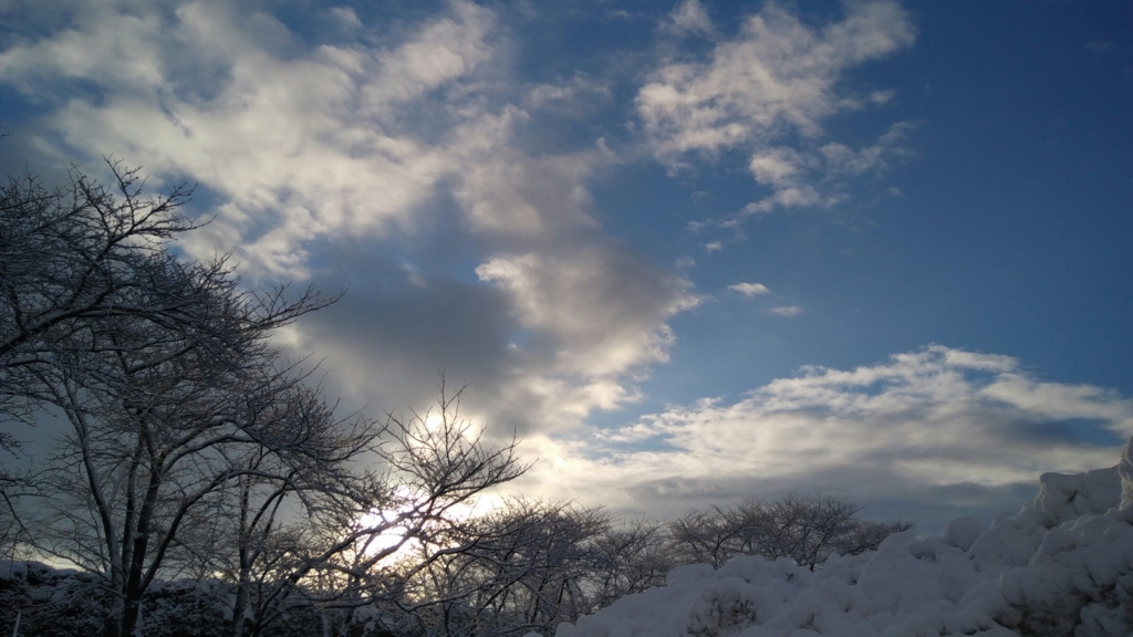 f:id:pft78526:20170117173208j:plain