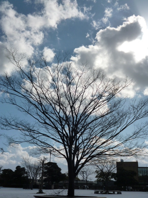f:id:pft78526:20170204172639j:plain
