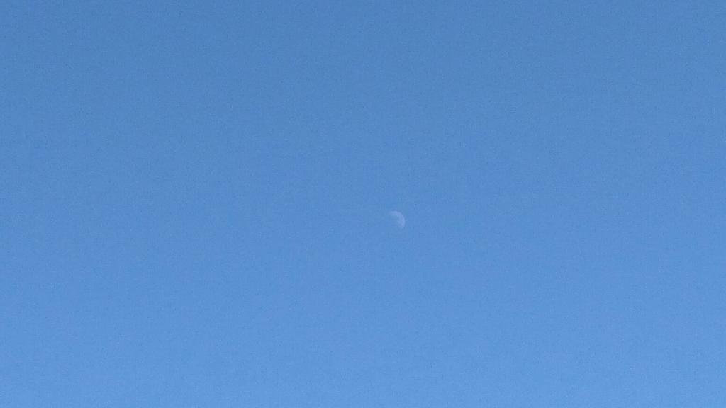 f:id:pft78526:20170204180804j:plain