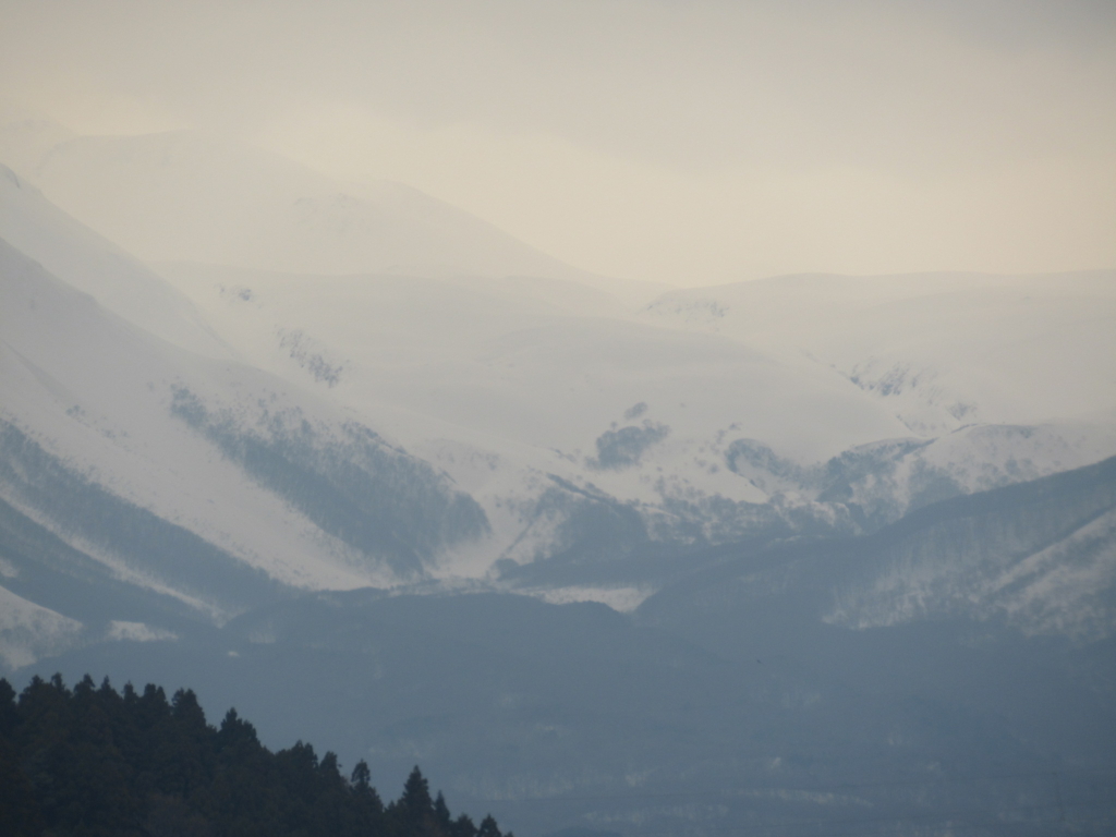 f:id:pft78526:20170331115457j:plain