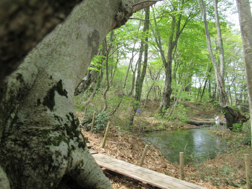 f:id:pft78526:20170510092809j:plain