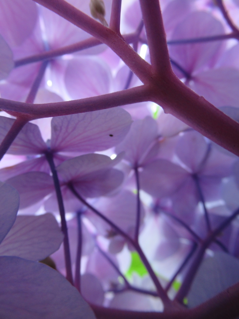 f:id:pft78526:20170731111929j:plain