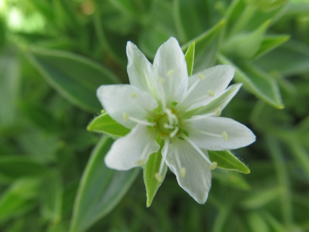 f:id:pft78526:20170807071424j:plain