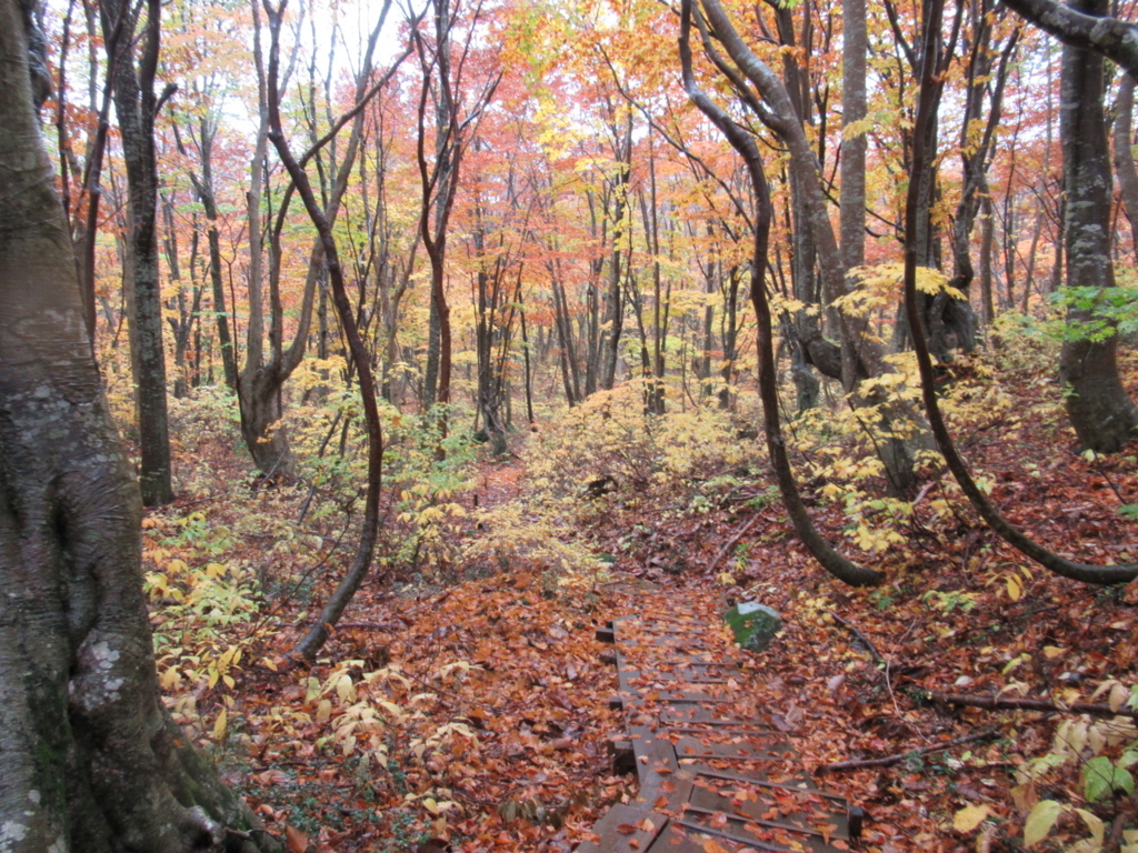f:id:pft78526:20171029211613j:plain