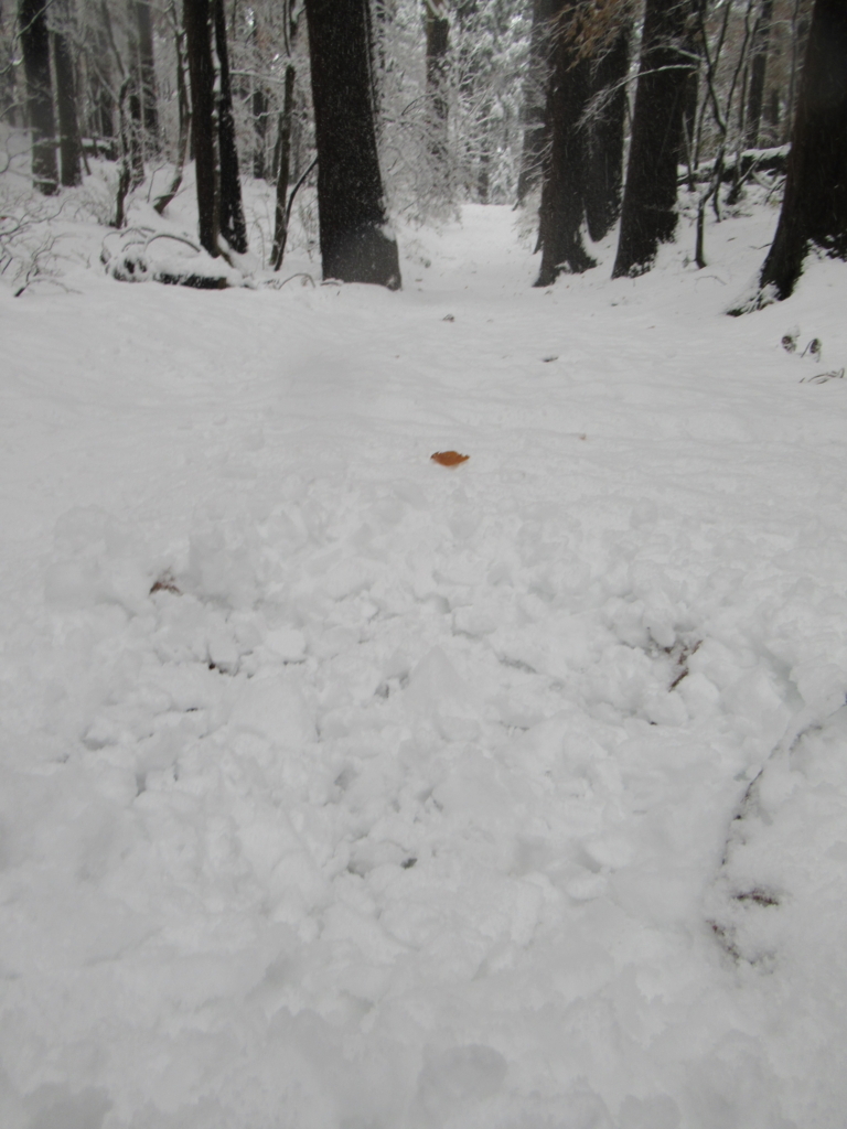 f:id:pft78526:20171125190701j:plain