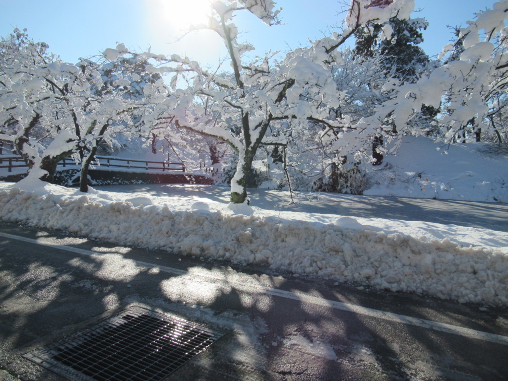 f:id:pft78526:20171207191325j:plain