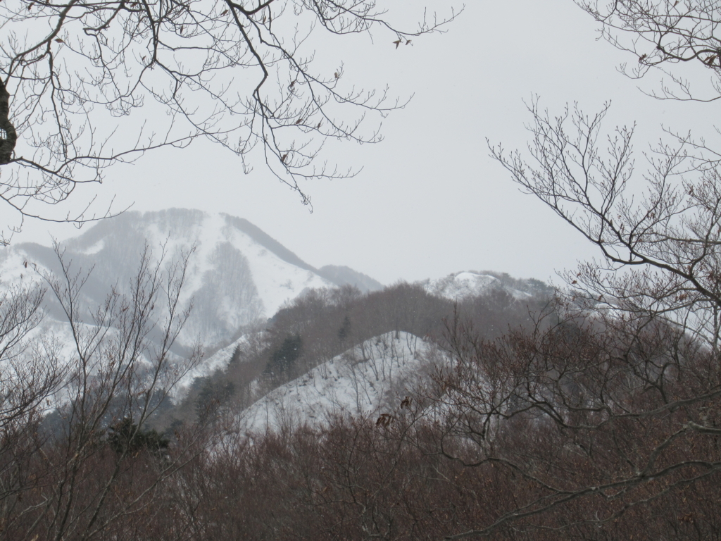 f:id:pft78526:20180120215901j:plain