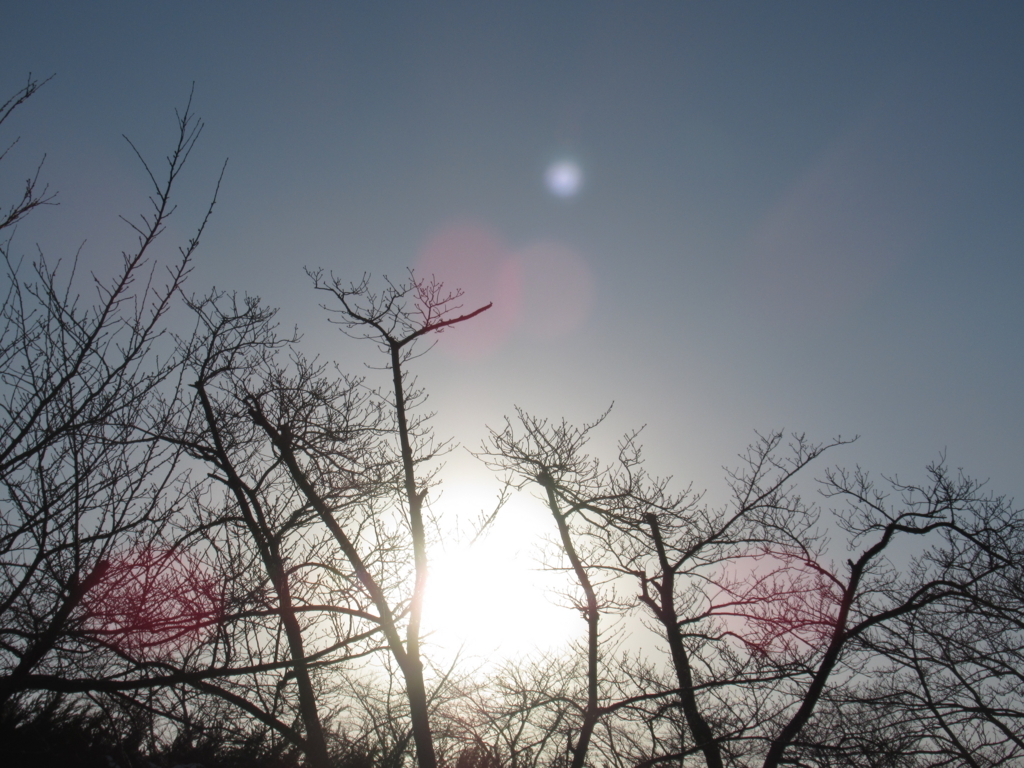 f:id:pft78526:20180202184505j:plain f:id:pft78526:20180202184505j:plain