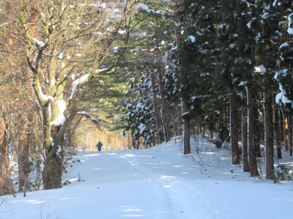 f:id:pft78526:20180203215518j:plain