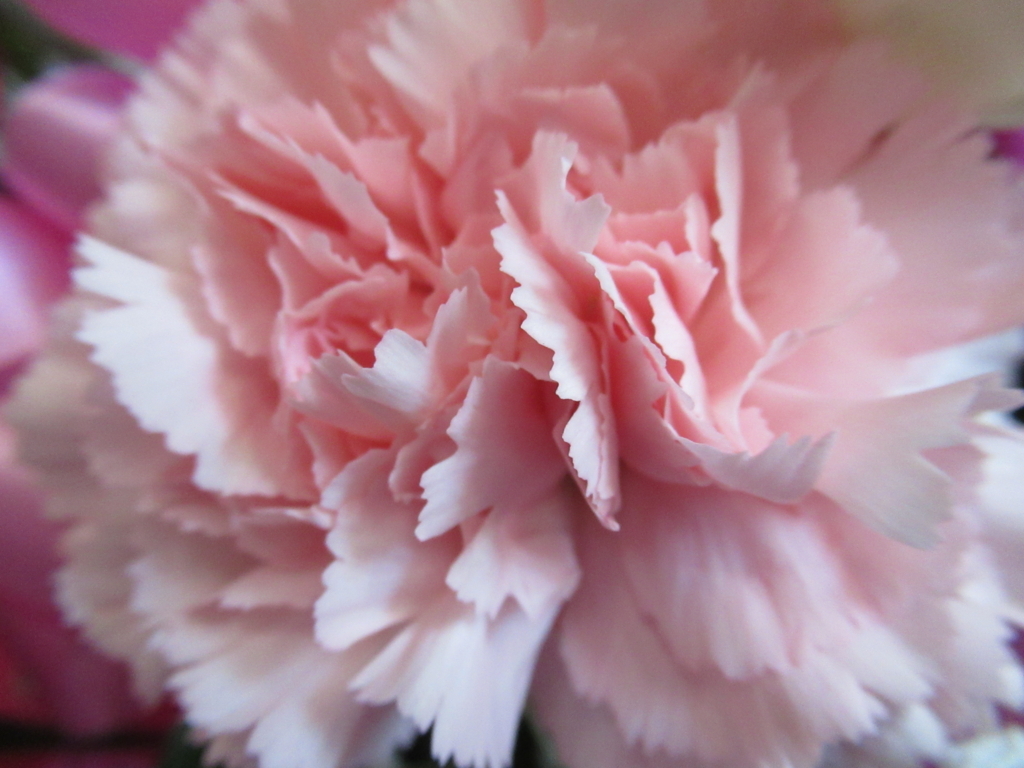 f:id:pft78526:20180330213124j:plain