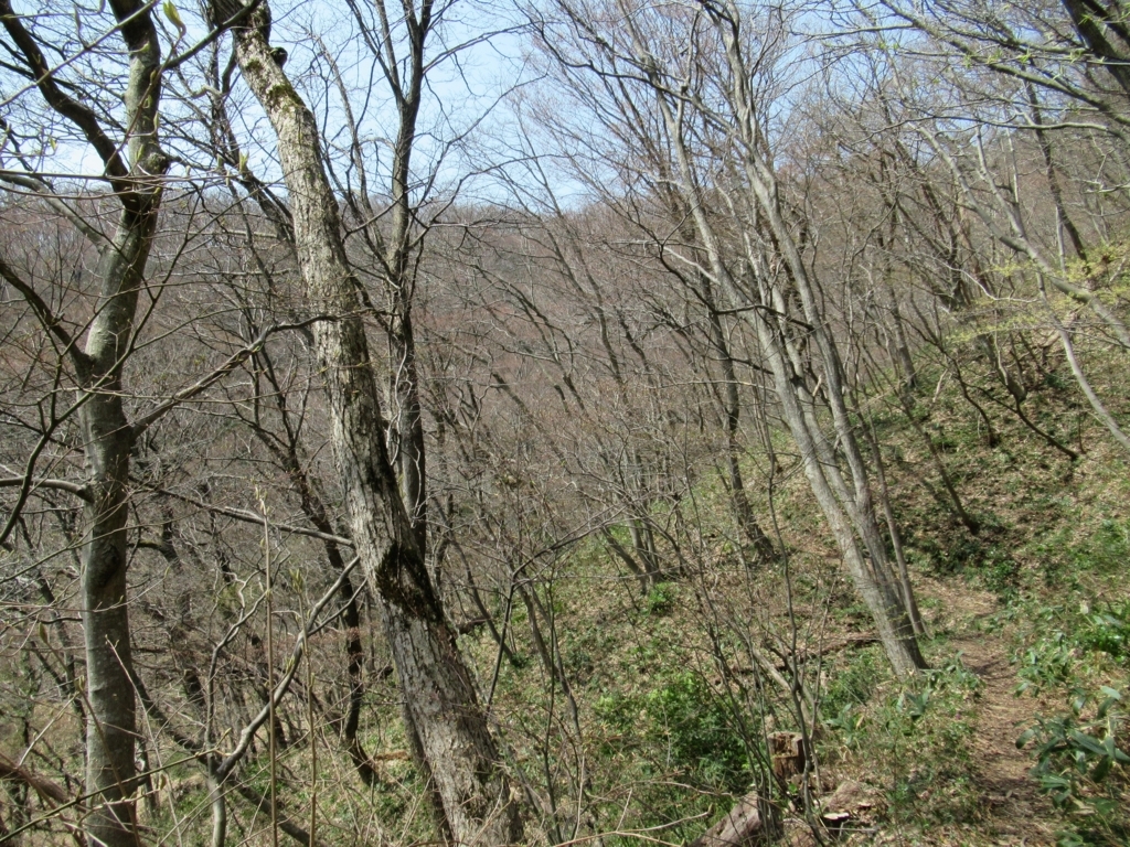 f:id:pft78526:20180404151831j:plain