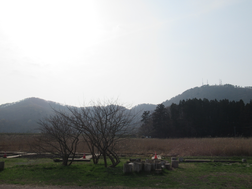 f:id:pft78526:20180404213802j:plain