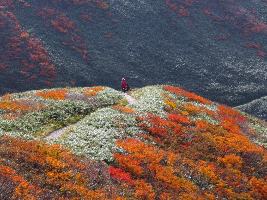 f:id:pft78526:20180423214807j:plain