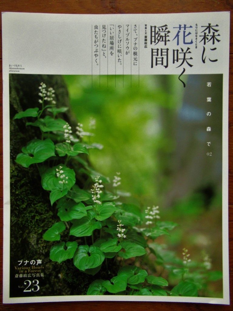 f:id:pft78526:20180428184635j:plain
