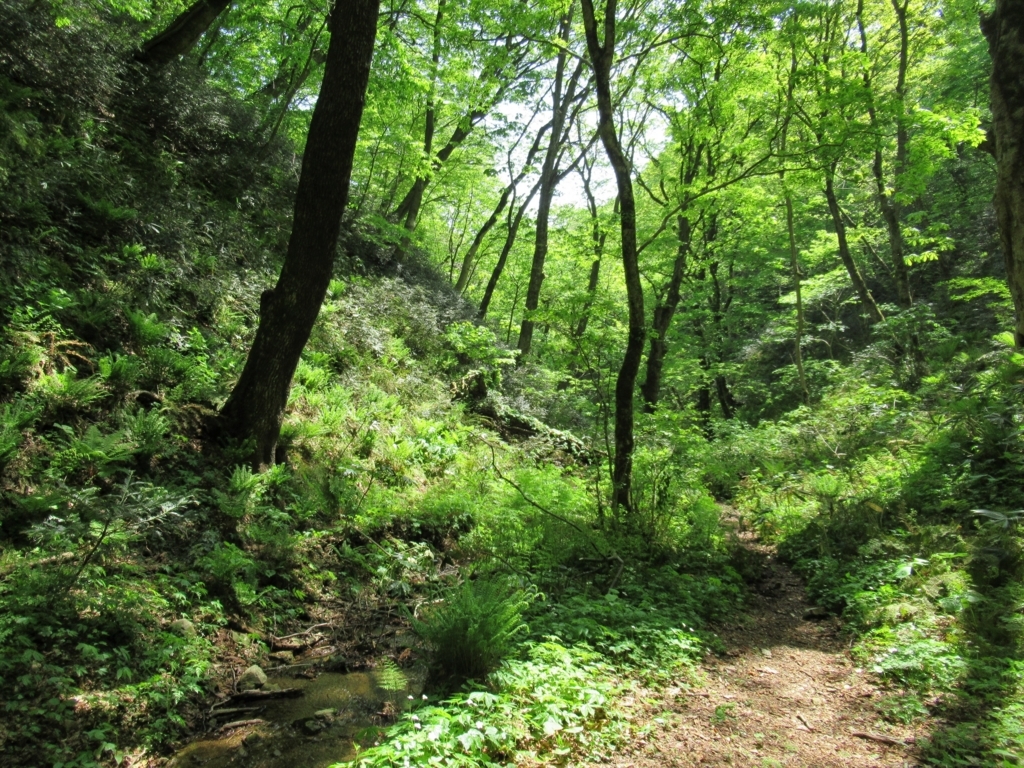 f:id:pft78526:20180430190200j:plain