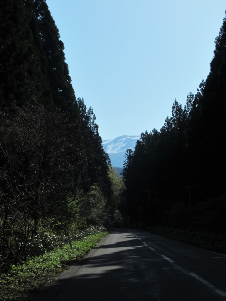 f:id:pft78526:20180501202857j:plain