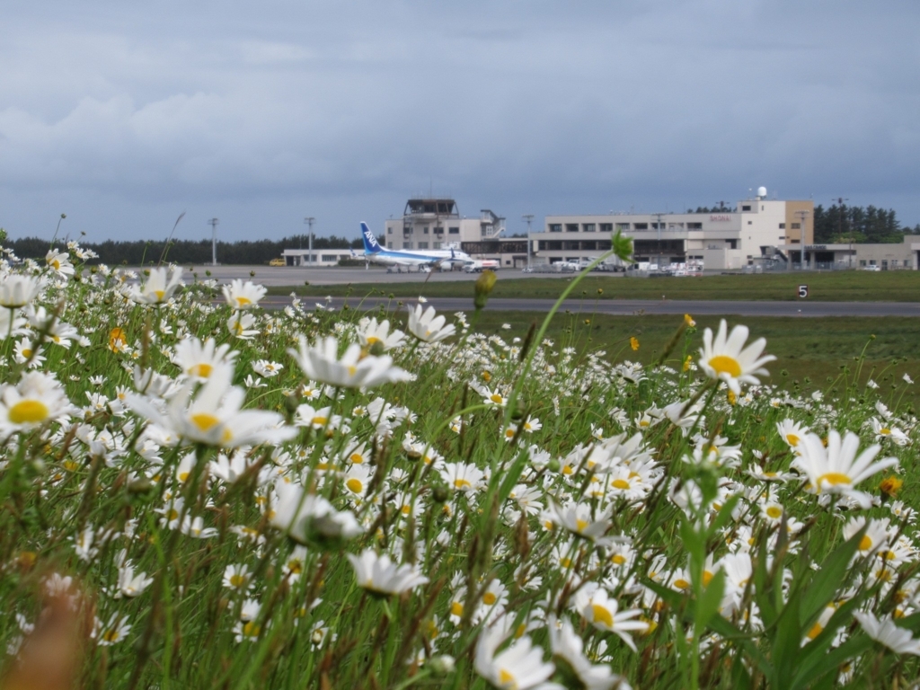 f:id:pft78526:20180601060103j:plain