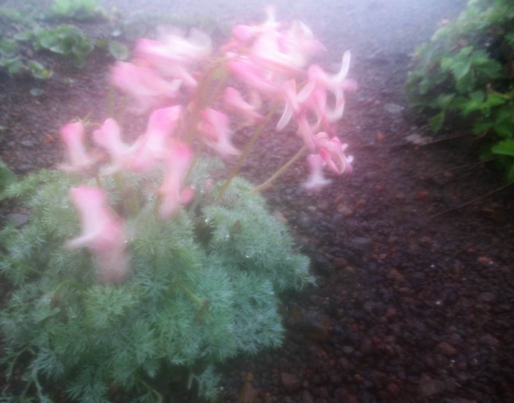 f:id:pft78526:20180725201935j:plain f:id:pft78526:20180725201935j:plain