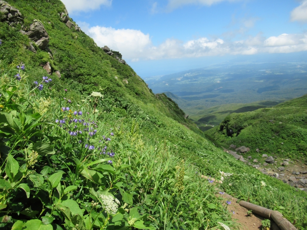 f:id:pft78526:20180815142806j:plain