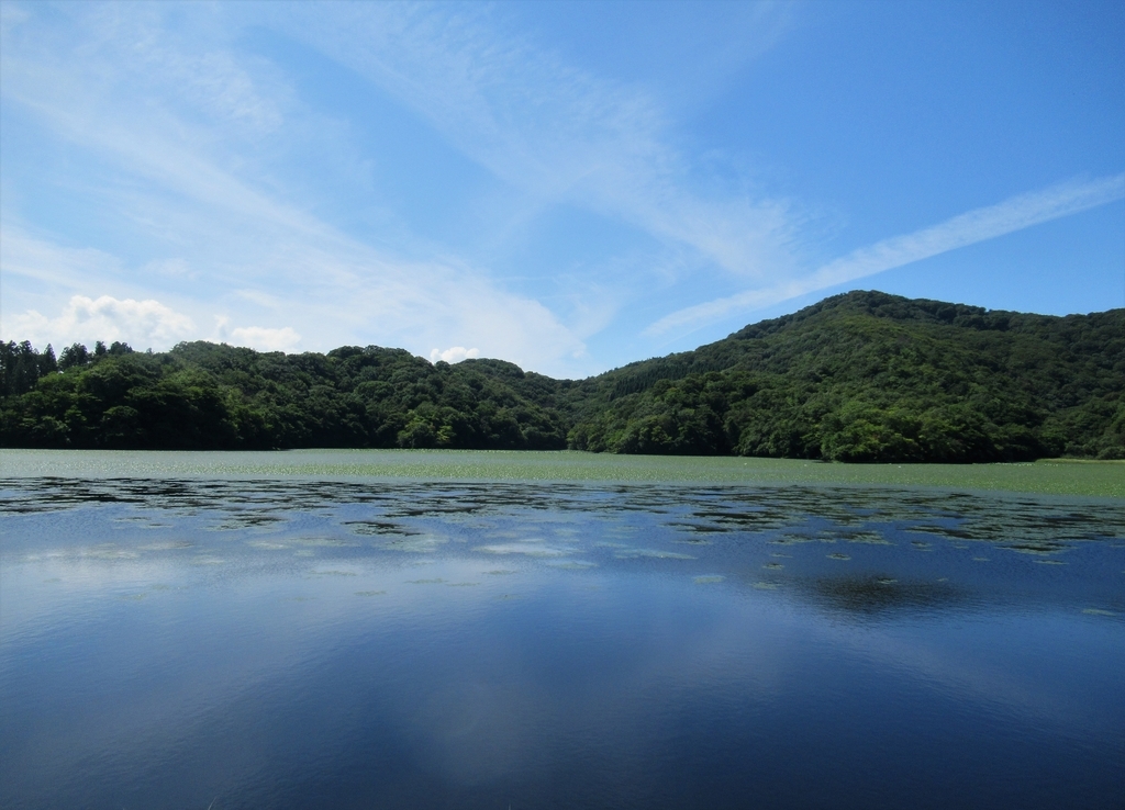 f:id:pft78526:20180903203604j:plain