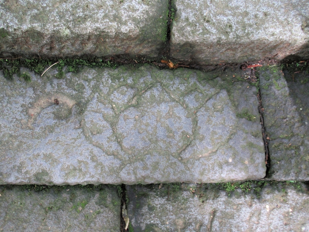 f:id:pft78526:20180903210803j:plain