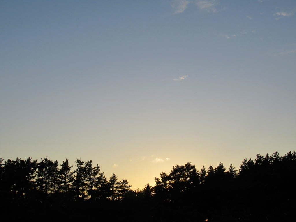 f:id:pft78526:20180911203823j:plain