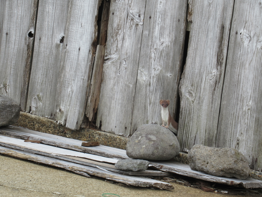 f:id:pft78526:20180917124251j:plain