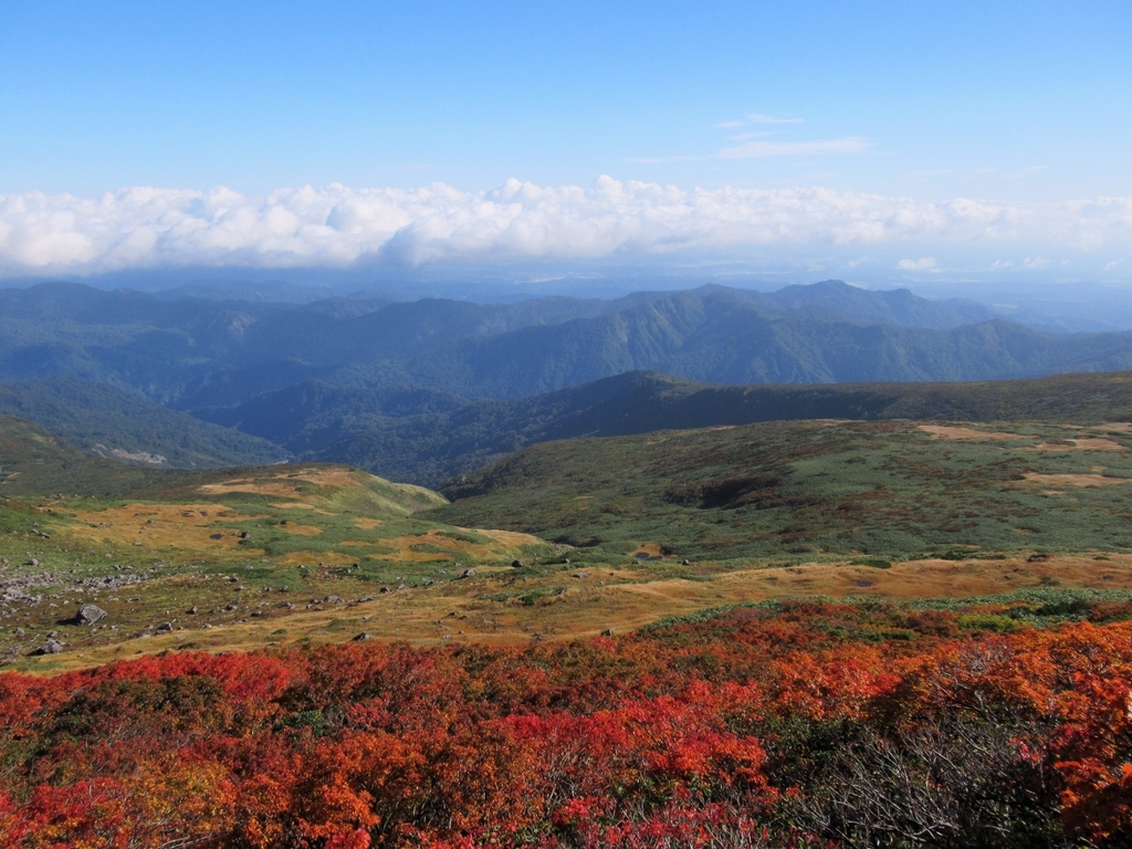 f:id:pft78526:20180926222655j:plain f:id:pft78526:20180926222655j:plain