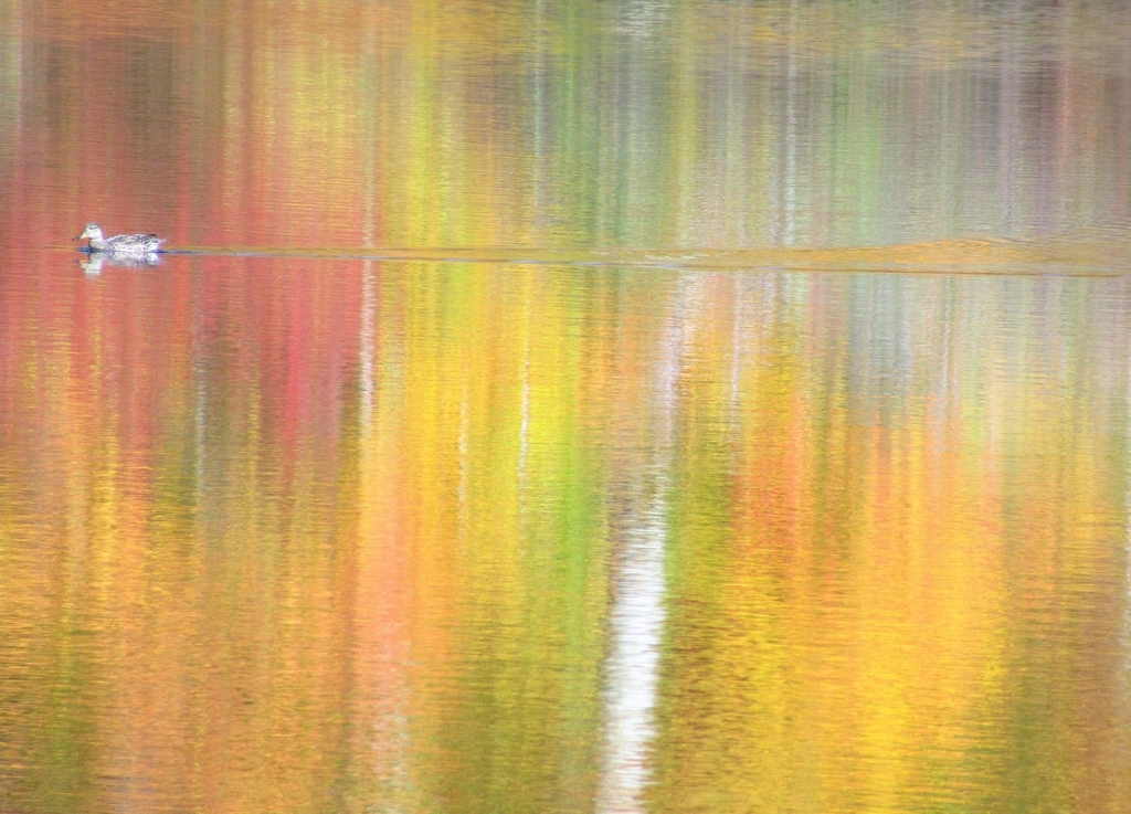 f:id:pft78526:20181029060743j:plain