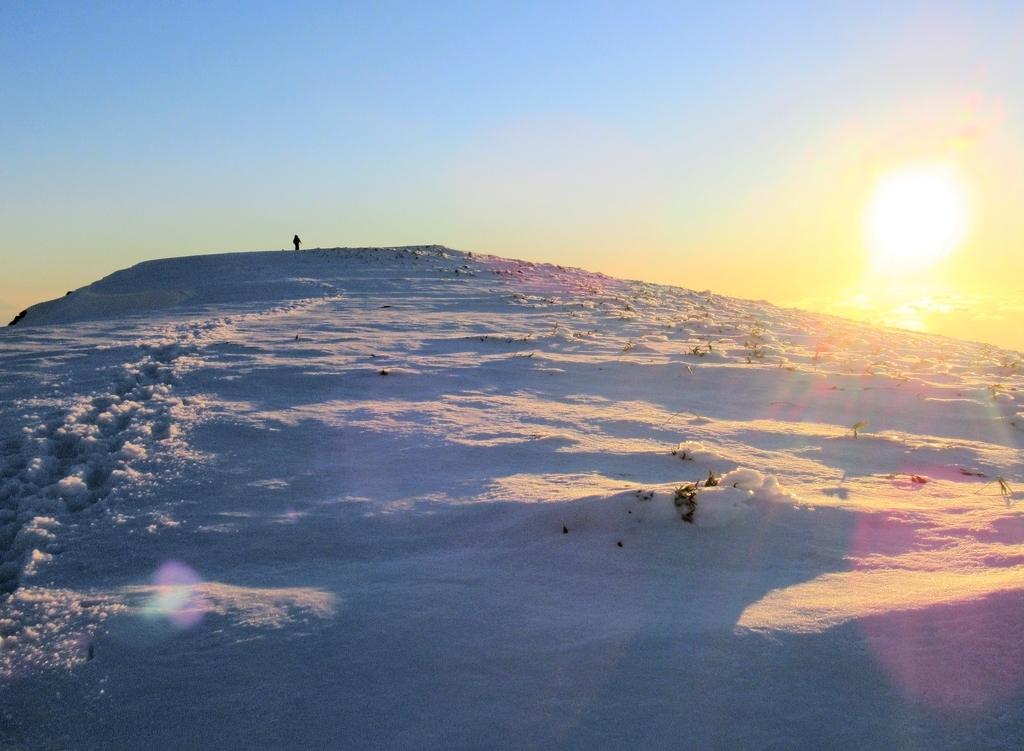 f:id:pft78526:20181123081213j:plain