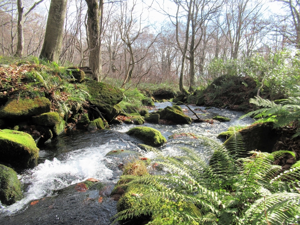 f:id:pft78526:20181201131327j:plain