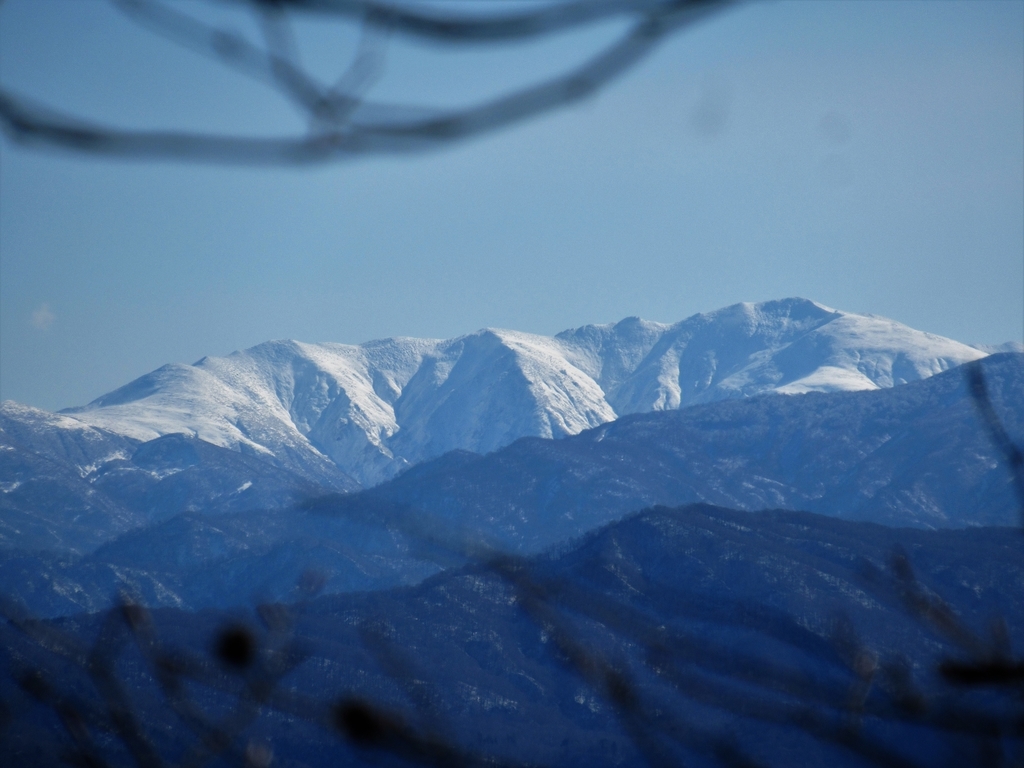 f:id:pft78526:20181207210209j:plain