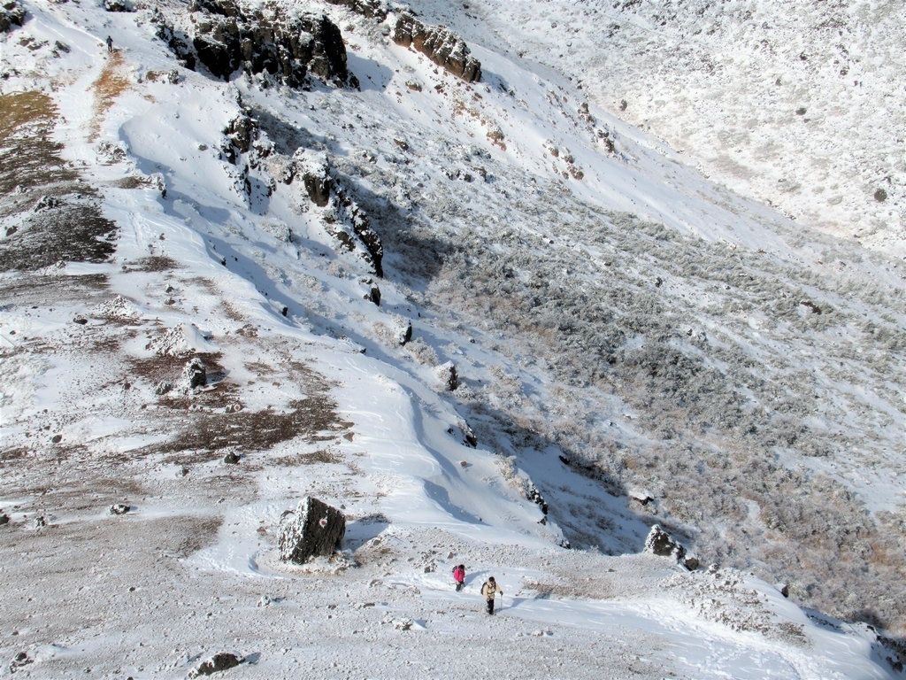 f:id:pft78526:20181207213249j:plain