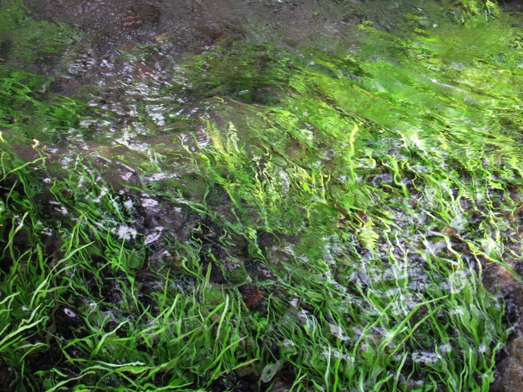 f:id:pft78526:20181224115028j:plain