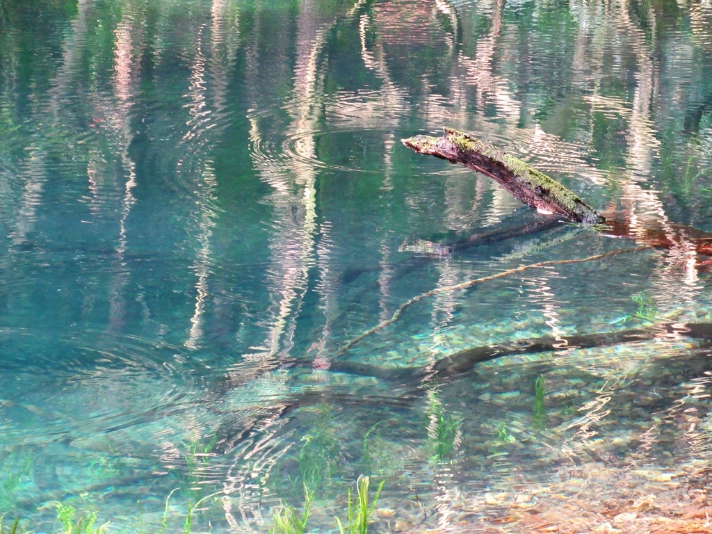 f:id:pft78526:20181229064746j:plain