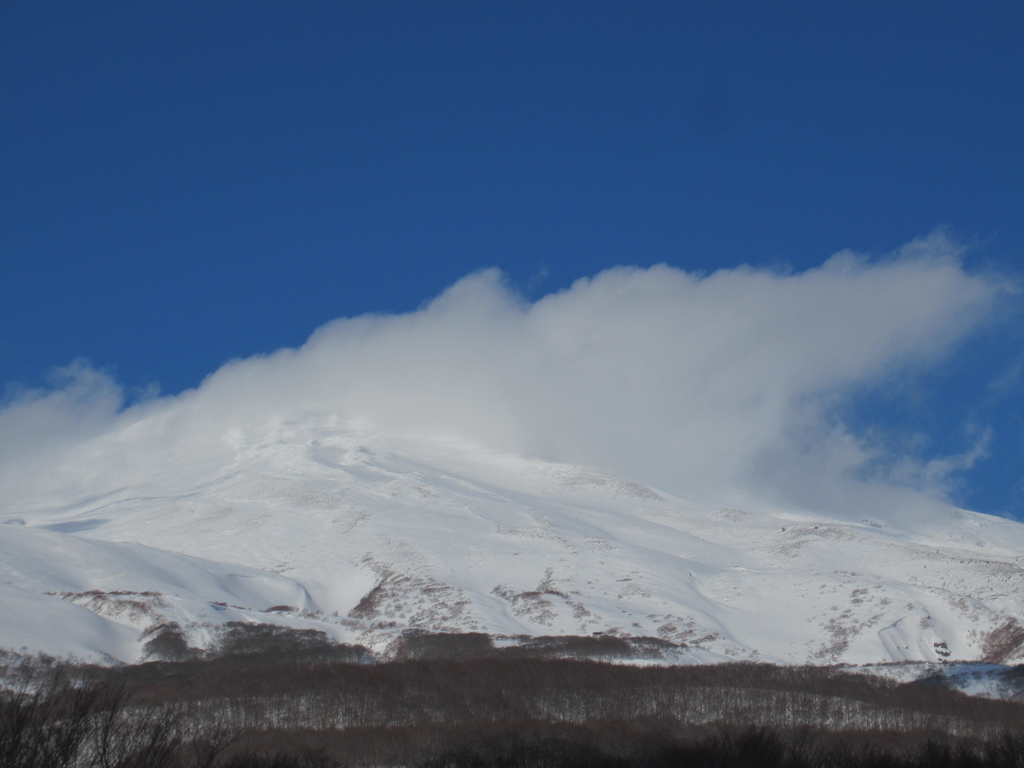 f:id:pft78526:20190118190524j:plain