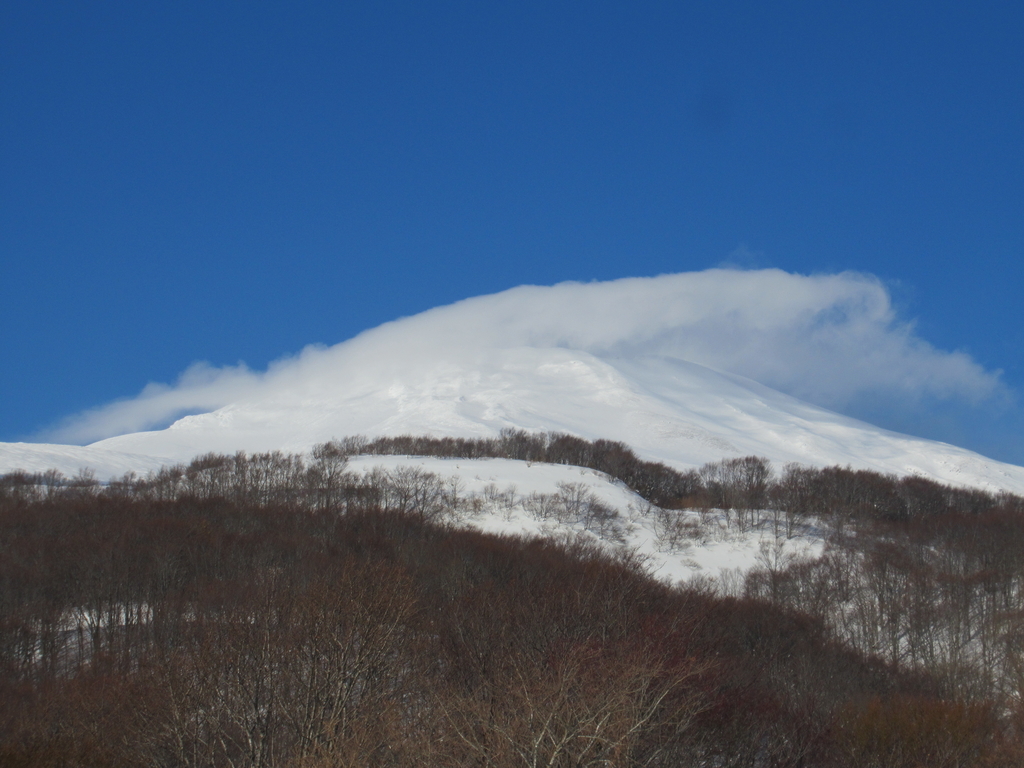 f:id:pft78526:20190118191333j:plain