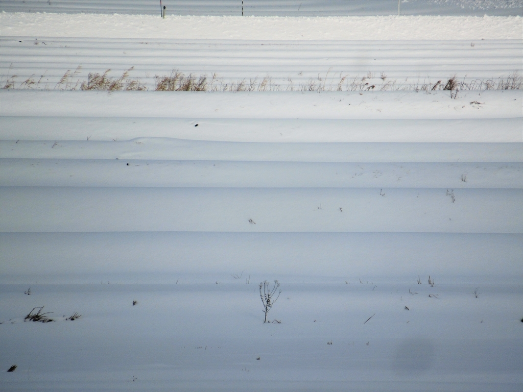 f:id:pft78526:20190128141955j:plain