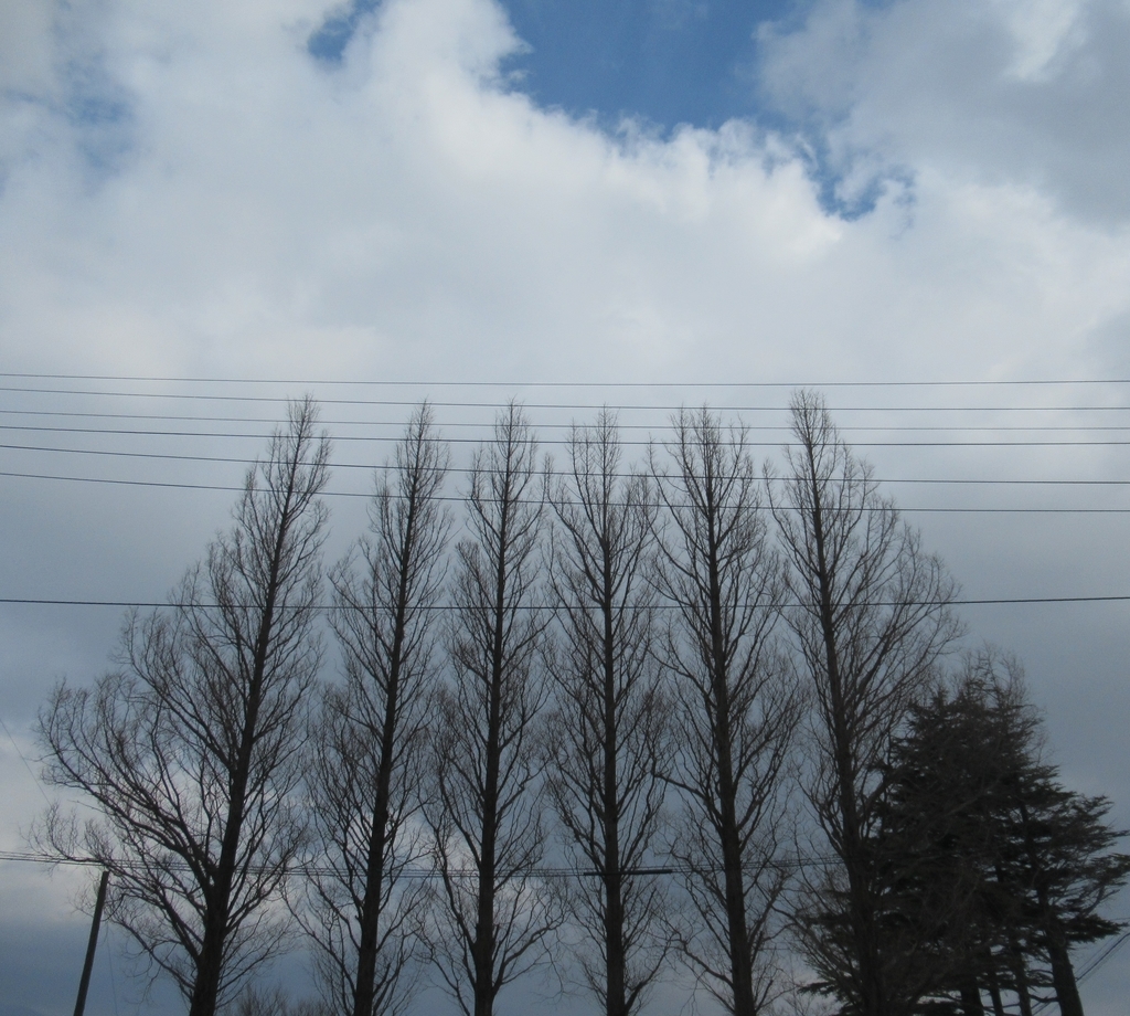 f:id:pft78526:20190202073146j:plain