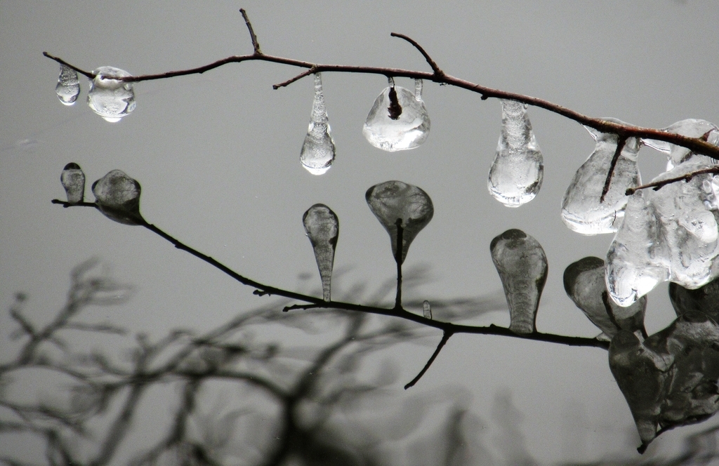 f:id:pft78526:20190211061044j:plain