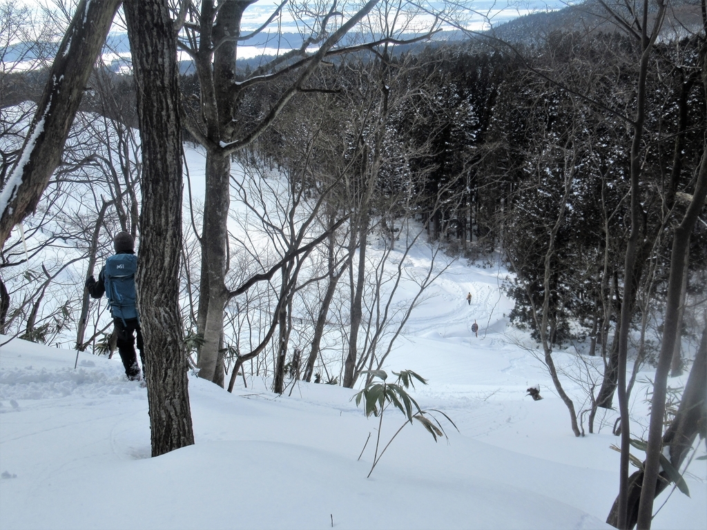 f:id:pft78526:20190214200541j:plain