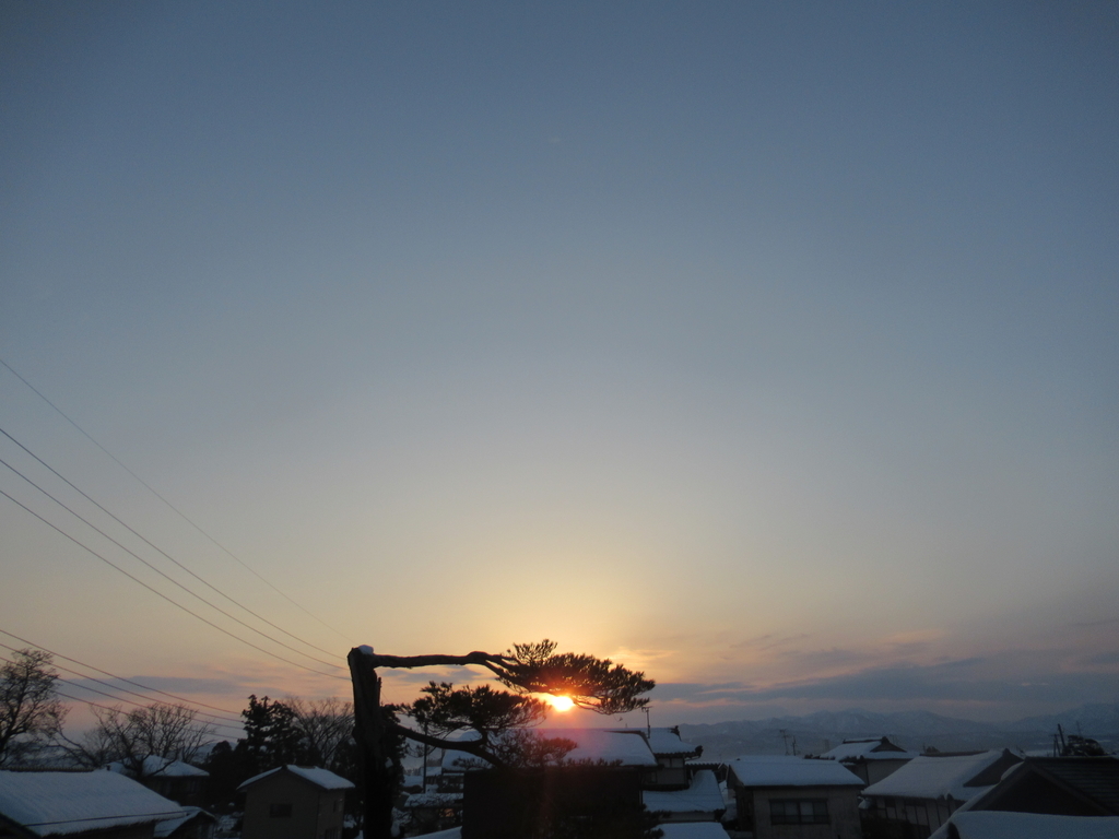 f:id:pft78526:20190222185621j:plain