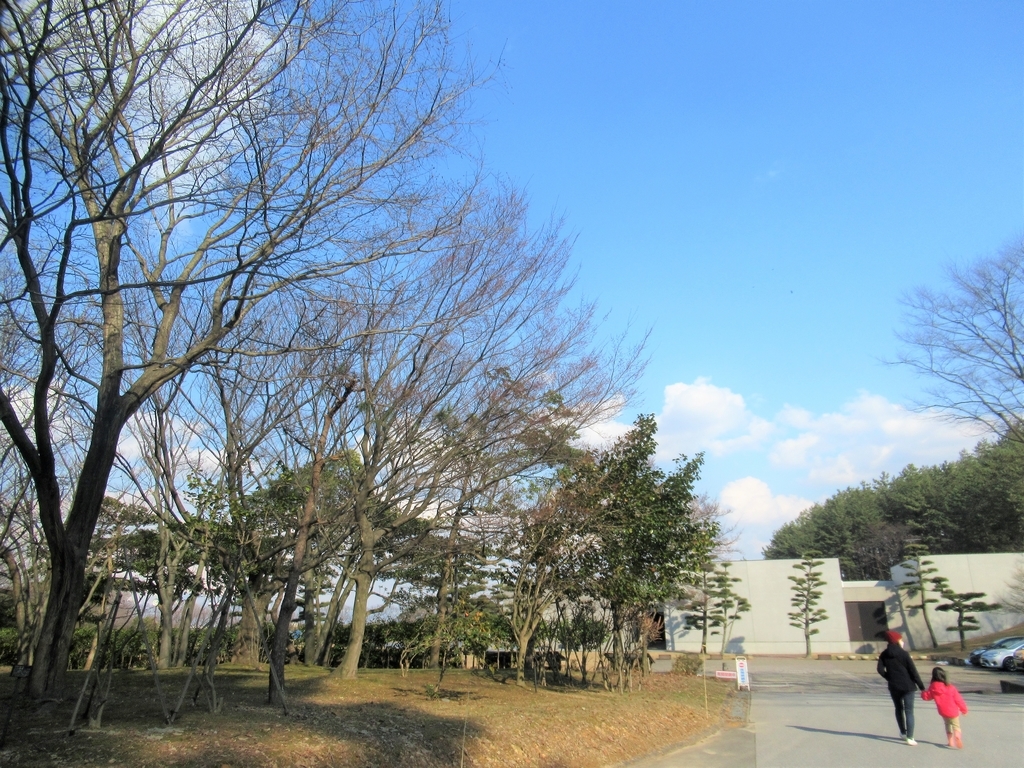 f:id:pft78526:20190223204734j:plain