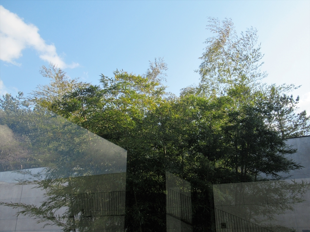 f:id:pft78526:20190223205000j:plain