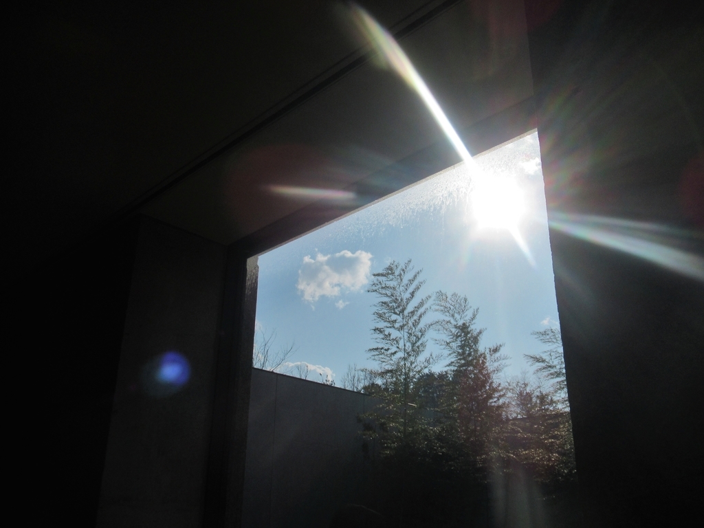 f:id:pft78526:20190223205255j:plain
