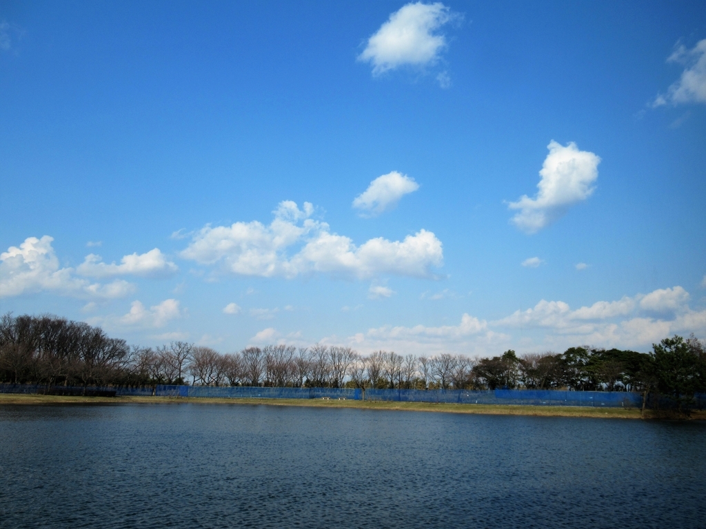 f:id:pft78526:20190223205343j:plain