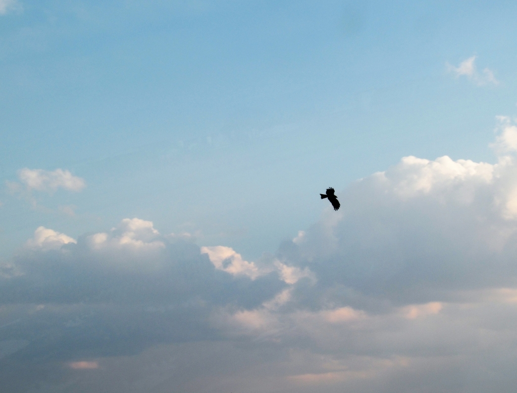 f:id:pft78526:20190223211754j:plain