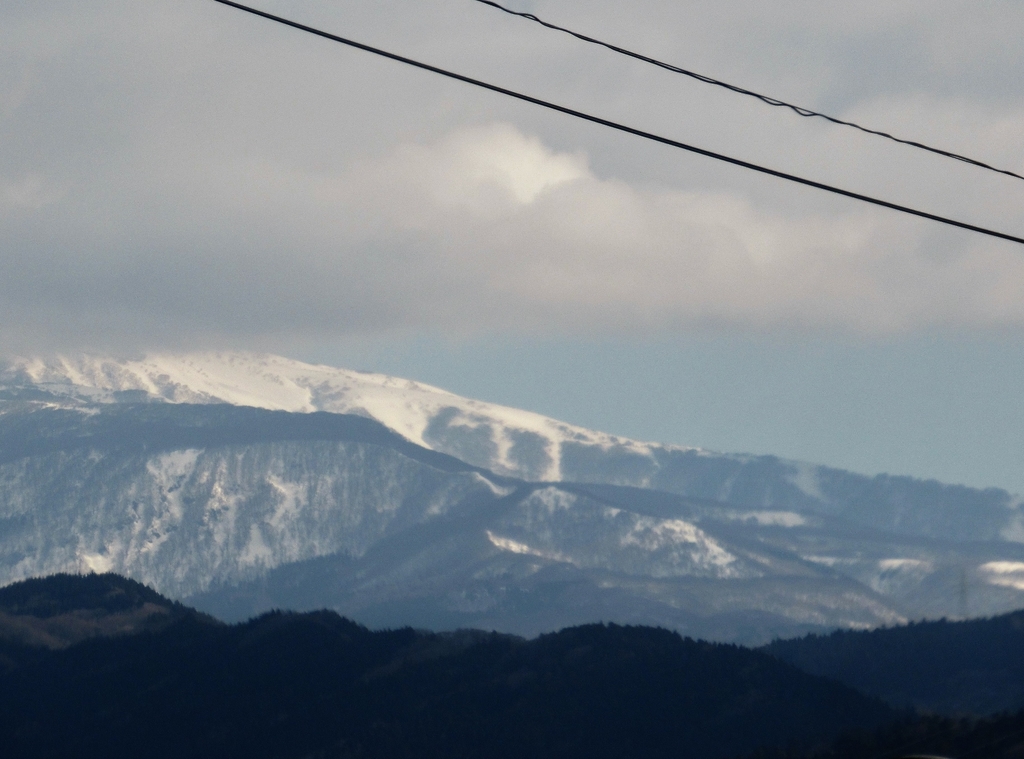 f:id:pft78526:20190225204659j:plain