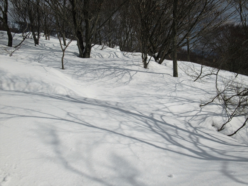 f:id:pft78526:20190225210813j:plain